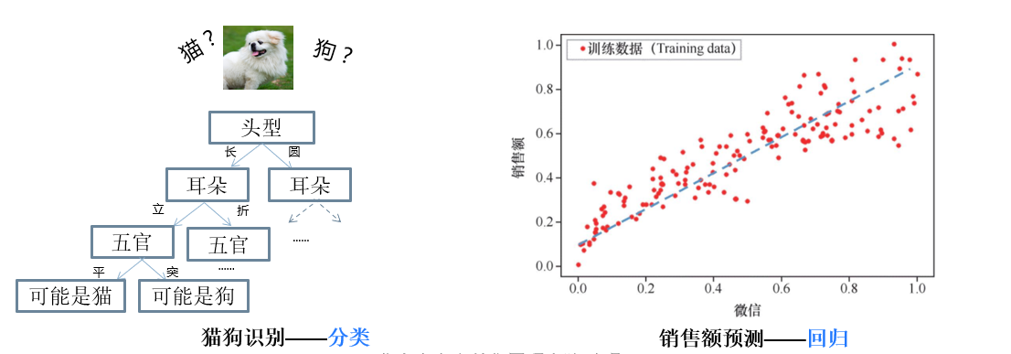 分类和回归