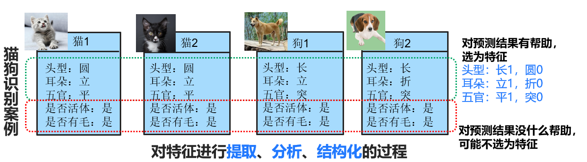 特征工程